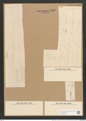 Nitzschia lorenziana var. subtilis Grun. (de-Toni-Nr.: Genus 47, Species 2150) Zeichnungen Sammlung Grunow Nr. 4340 (NHMW-BOT-W0372377)
